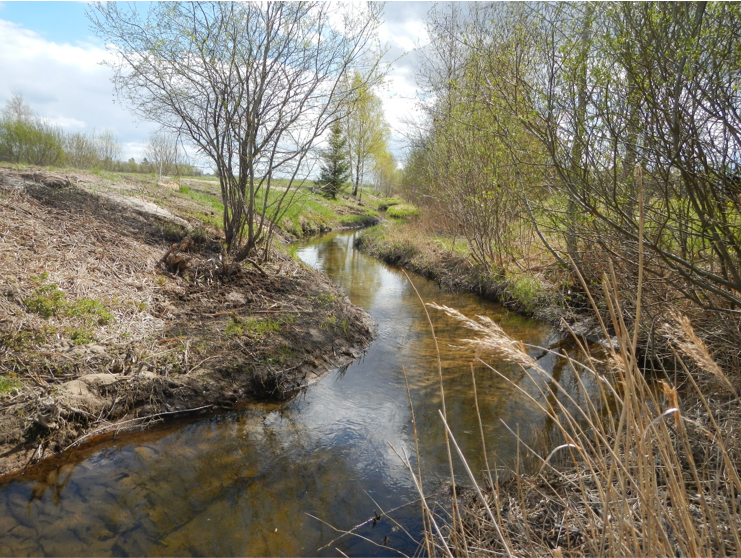 JVL, märts I 2026, Eesvoolude hooldamine KOV Foto_Maa ja Ruumiamet_ Jänijõgi